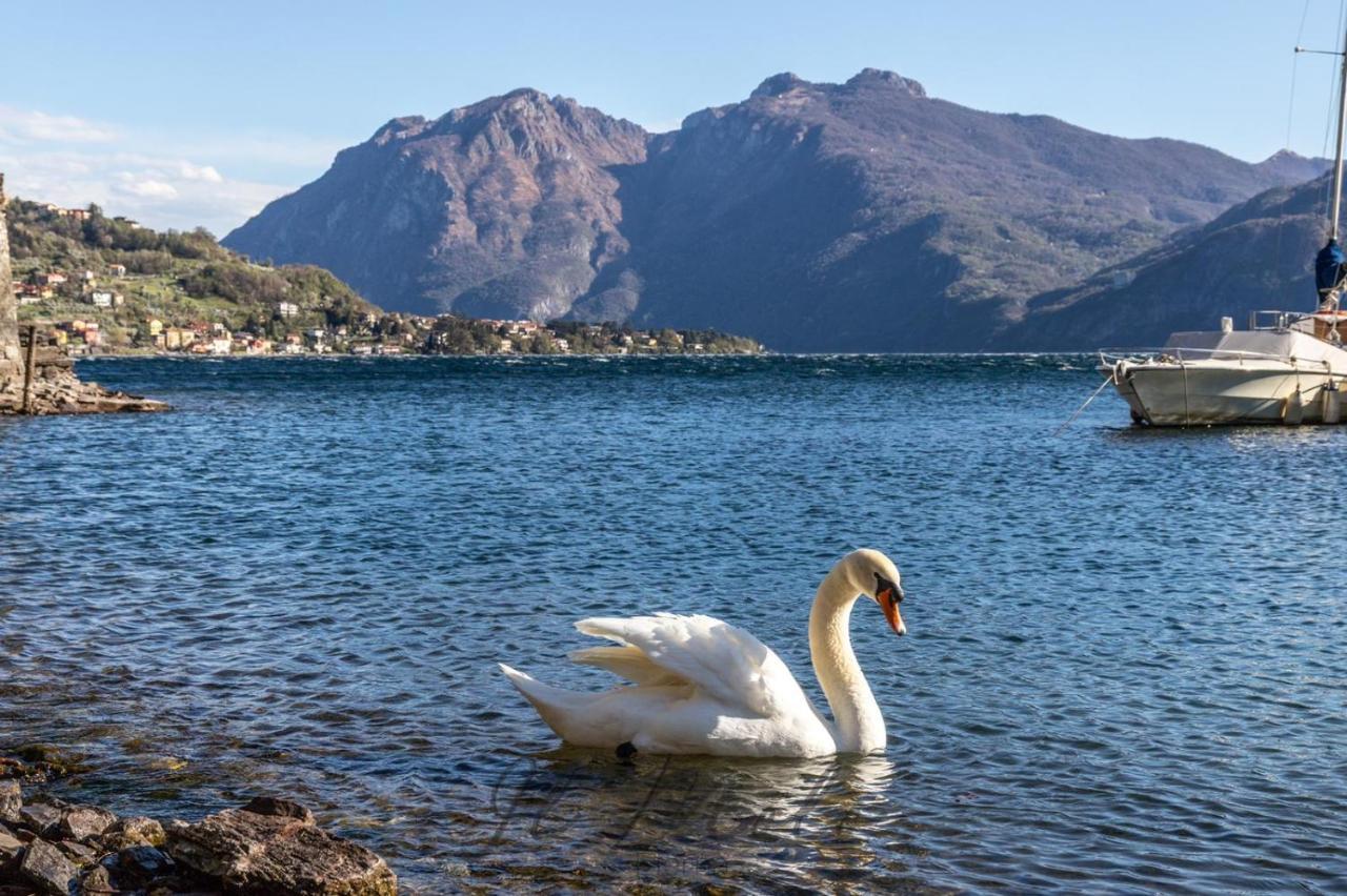 -Appartamento Il Molo- A Due Passi Del Lago Lierna Ngoại thất bức ảnh
